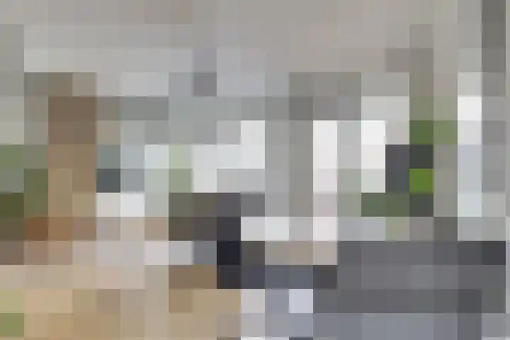 Schuttershof 15 Goes thumbnail 11