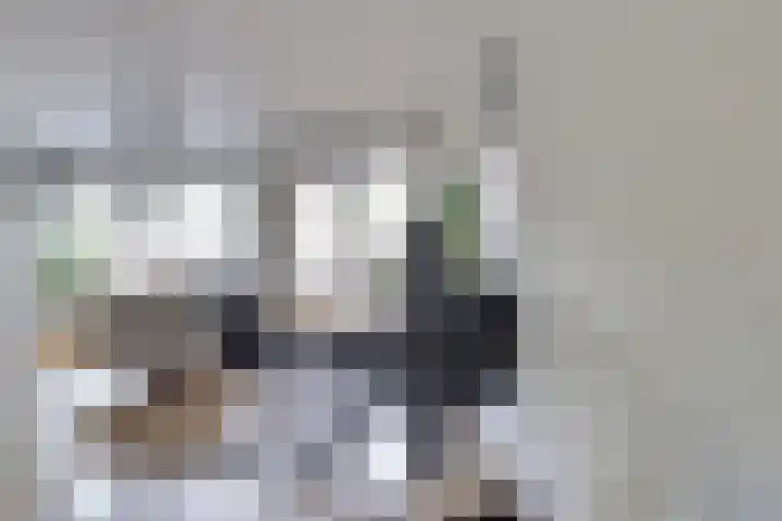 Schuttershof 15 Goes thumbnail 13