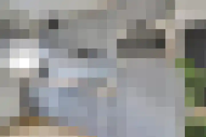 Schuttershof 15 Goes thumbnail 16