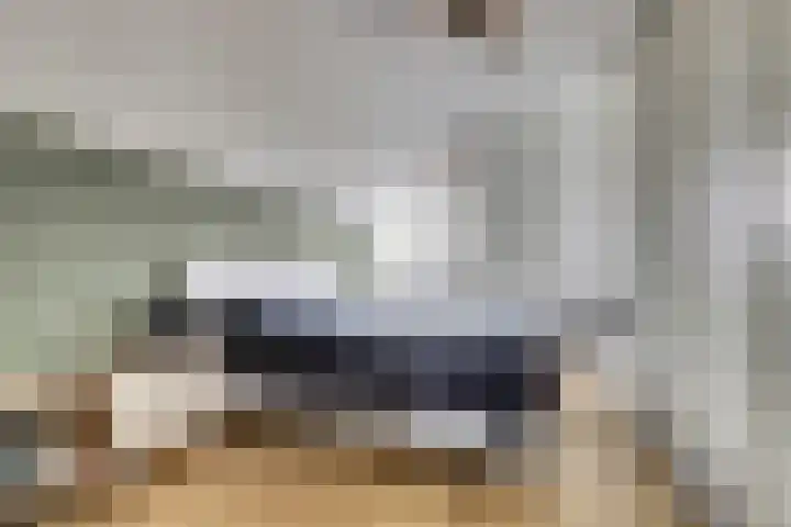 Schuttershof 15 Goes thumbnail 19