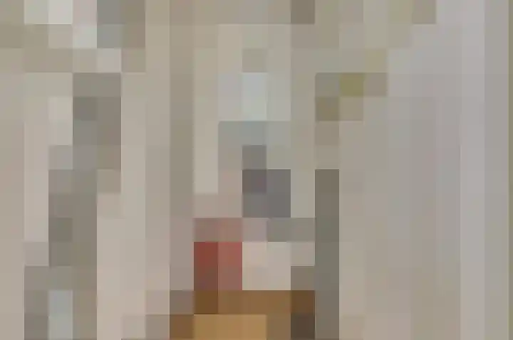 Schuttershof 15 Goes thumbnail 22