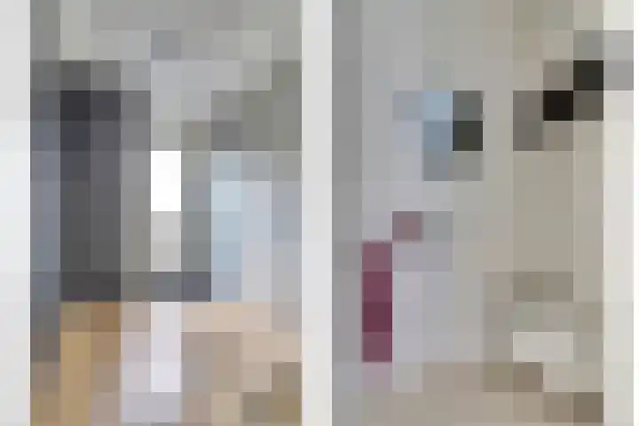 Schuttershof 15 Goes thumbnail 5