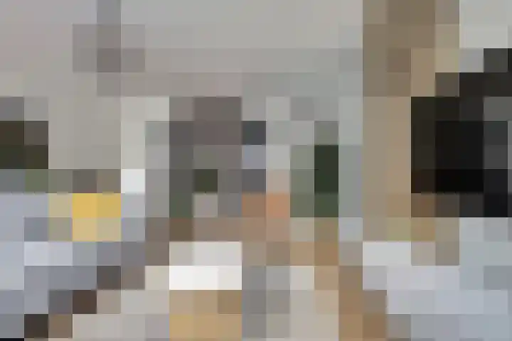 Schuttershof 15 Goes thumbnail 9