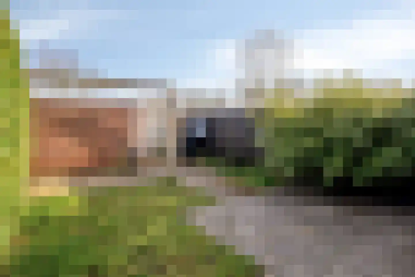 Schuttershof 16 Sluis thumbnail 23