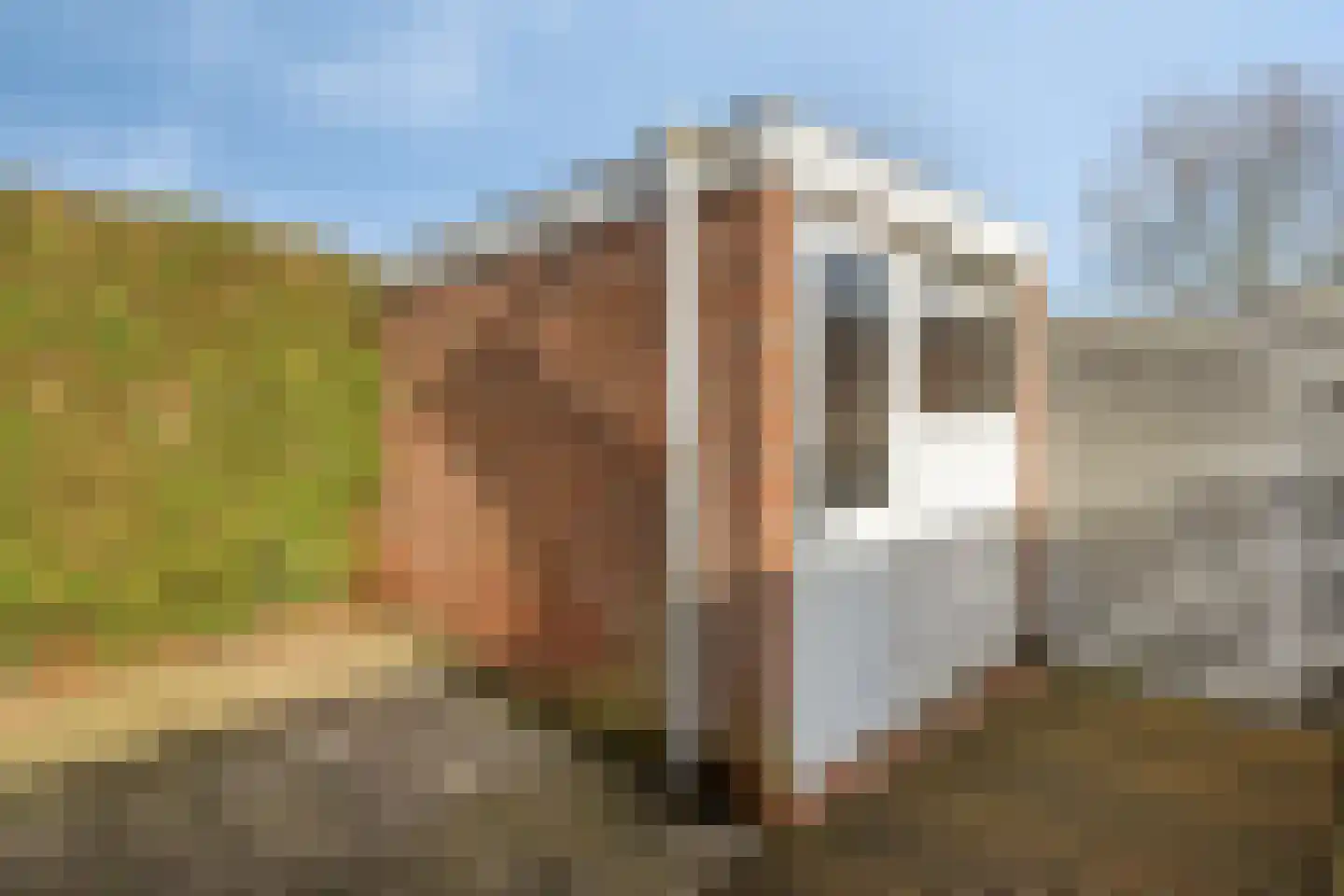 Schuttershof 16 Sluis thumbnail 24