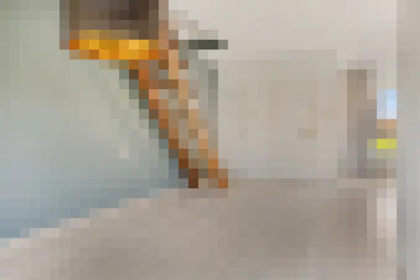 Schuttershof 16 Sluis thumbnail 8