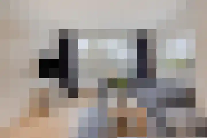 Schuttershof 18 Arnemuiden thumbnail 11