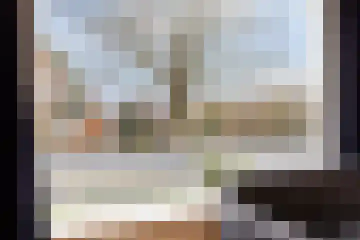 Schuttershof 18 Arnemuiden thumbnail 12