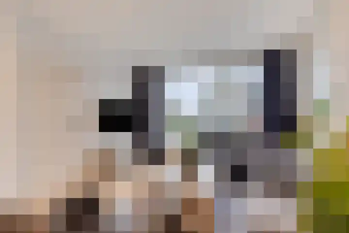 Schuttershof 18 Arnemuiden thumbnail 13