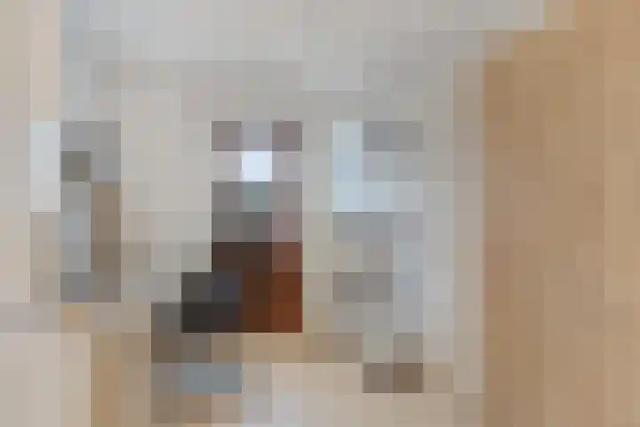 Schuttershof 18 Arnemuiden thumbnail 35