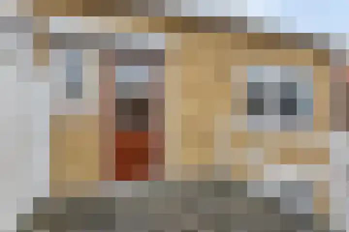 Schuttershof 18 Arnemuiden thumbnail 37