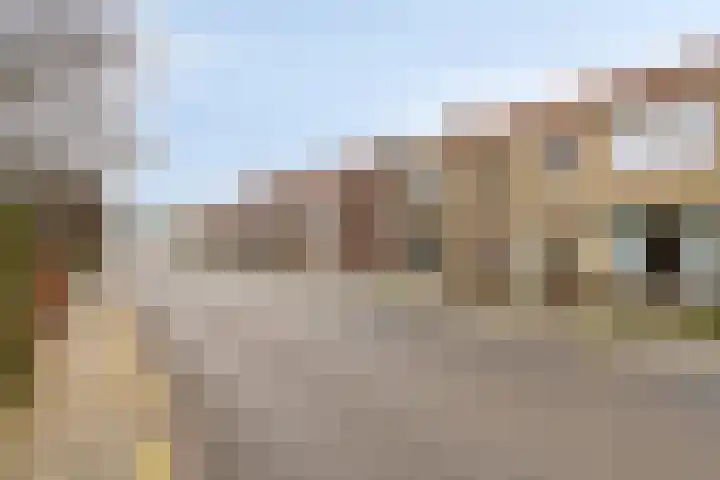 Schuttershof 18 Arnemuiden thumbnail 4