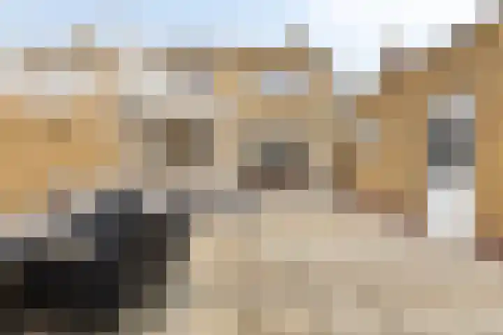 Schuttershof 18 Arnemuiden thumbnail 43