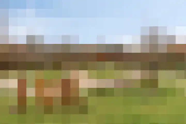 Schuttershof 18 Arnemuiden thumbnail 48