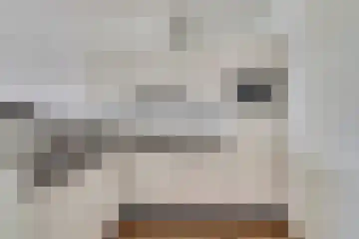 Schuttershof 27 Terneuzen thumbnail 14