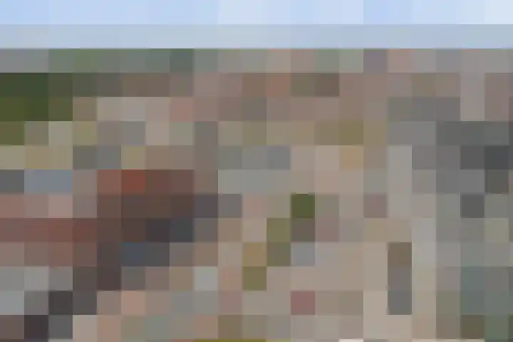 Schuttershof 27 Terneuzen thumbnail 21