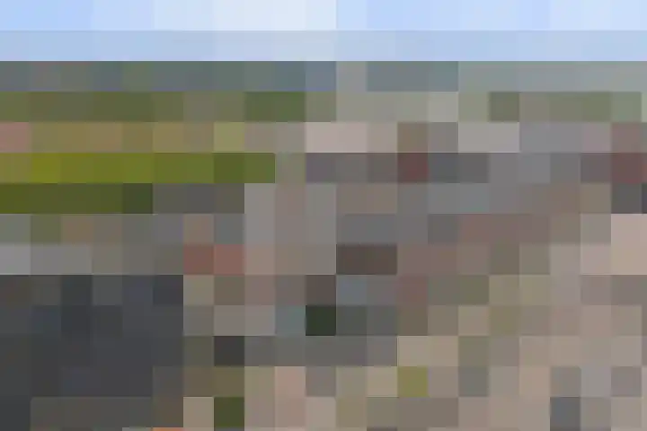 Schuttershof 27 Terneuzen thumbnail 22
