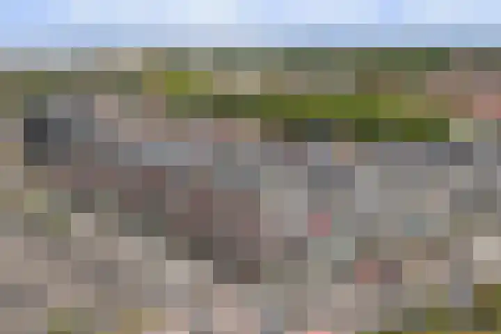 Schuttershof 27 Terneuzen thumbnail 23