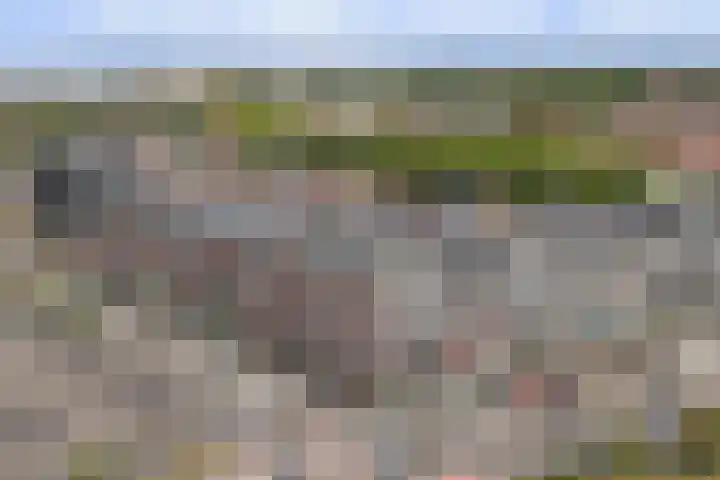 Schuttershof 27 Terneuzen thumbnail 27