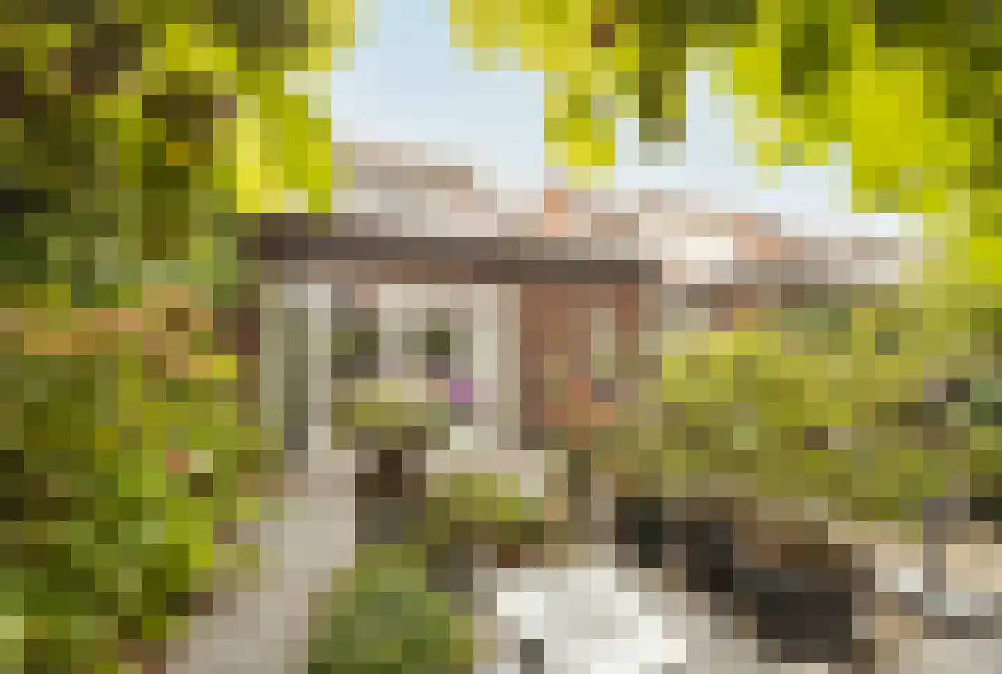 Schuttershof 30 Etten-Leur thumbnail 38