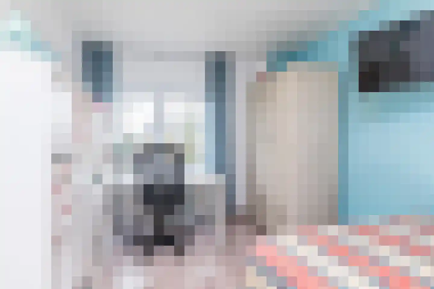 Schuttershof 4 Bocholtz thumbnail 19