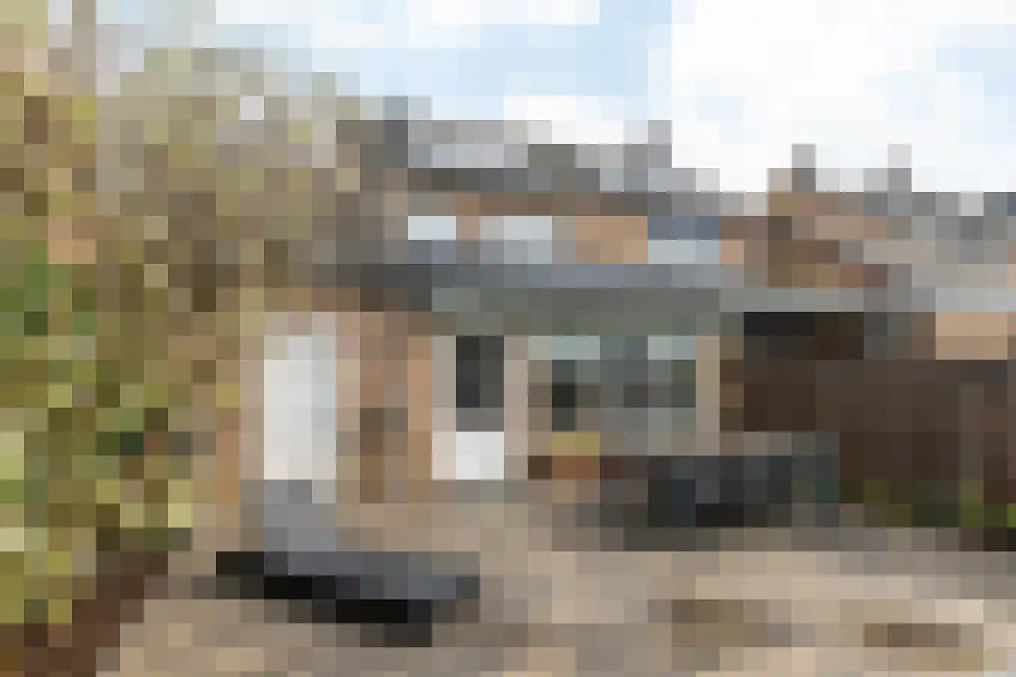 Schuttershof 4 Bocholtz thumbnail 32