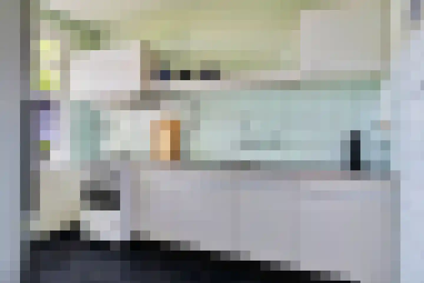 Schuttershof 4 Tholen thumbnail 15