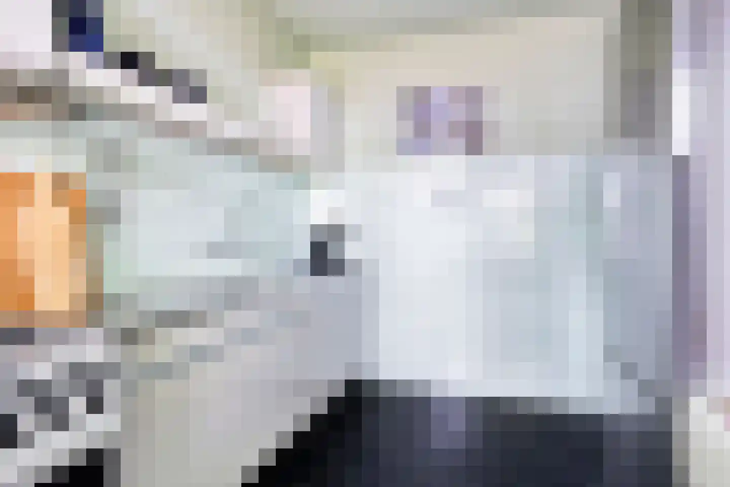 Schuttershof 4 Tholen thumbnail 17