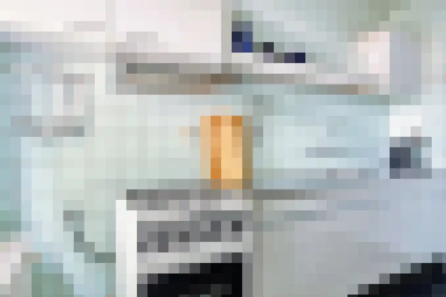 Schuttershof 4 Tholen thumbnail 18