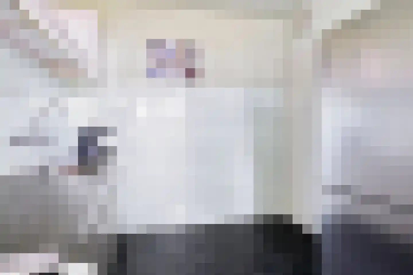 Schuttershof 4 Tholen thumbnail 19