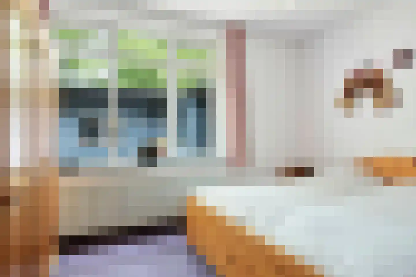 Schuttershof 4 Tholen thumbnail 20