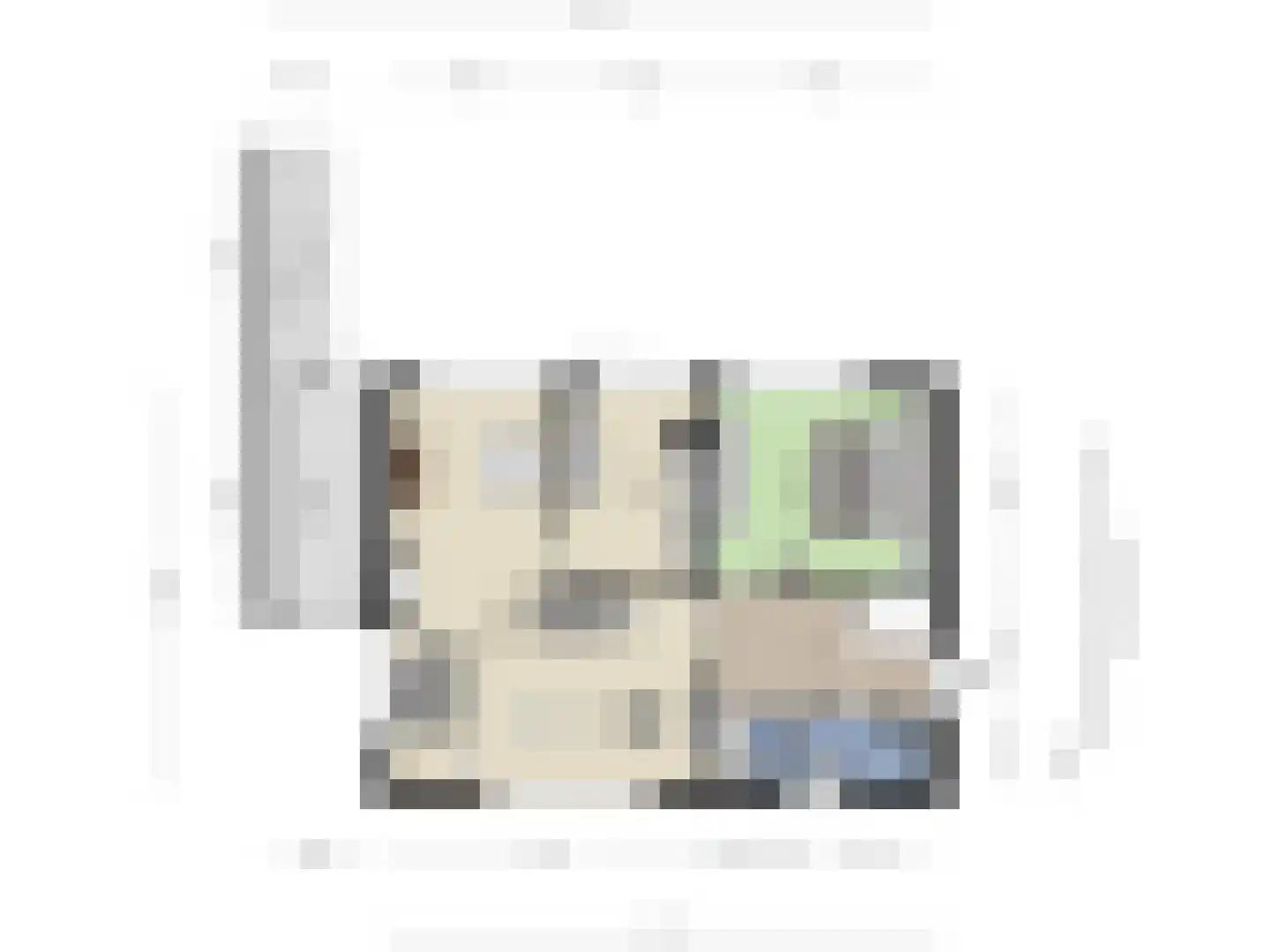 Schuttershof 4 Tholen thumbnail 23
