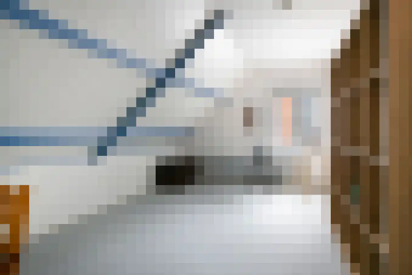 Schuttershof 4 Tholen thumbnail 27