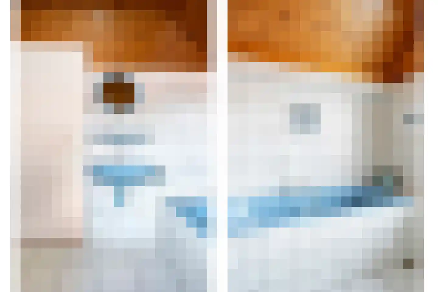 Schuttershof 4 Tholen thumbnail 30