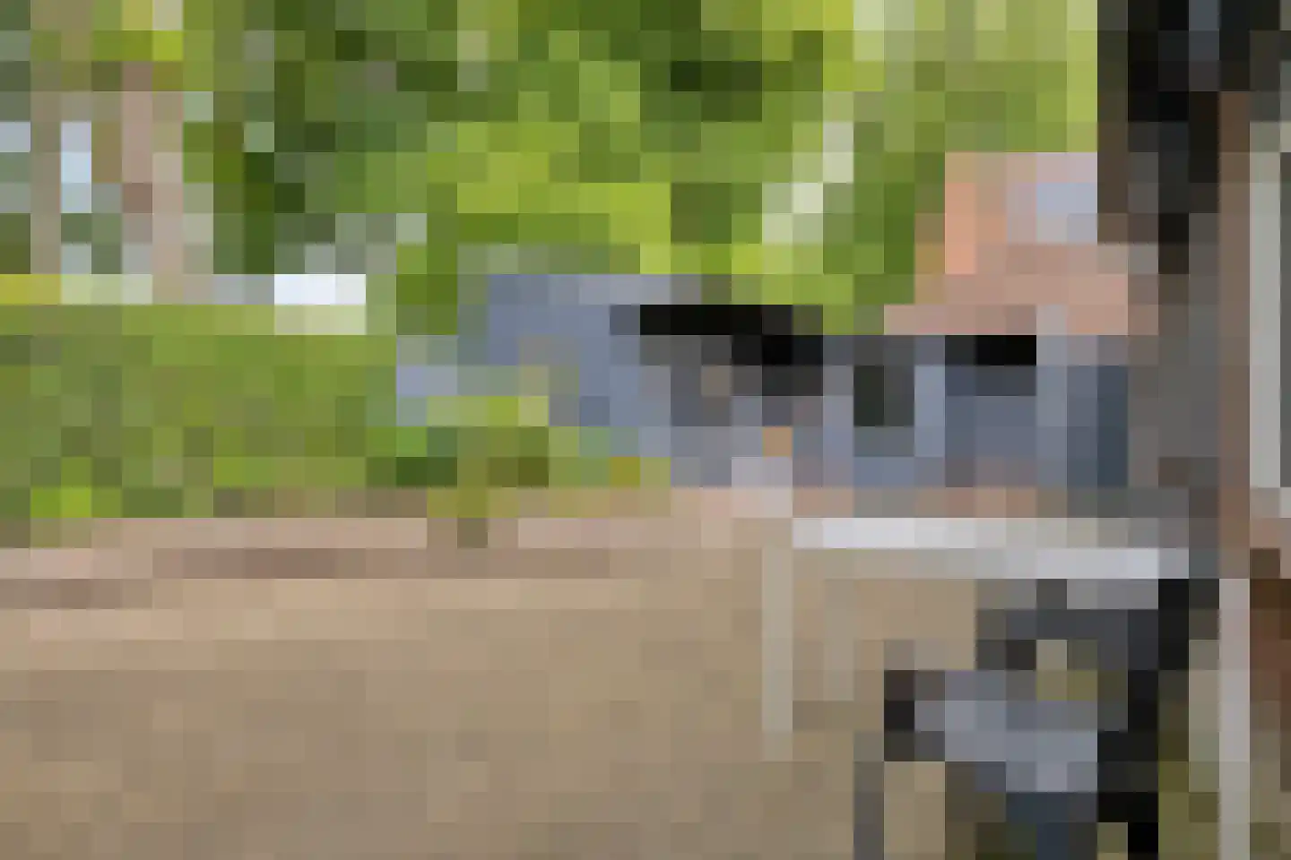 Schuttershof 4 Tholen thumbnail 37
