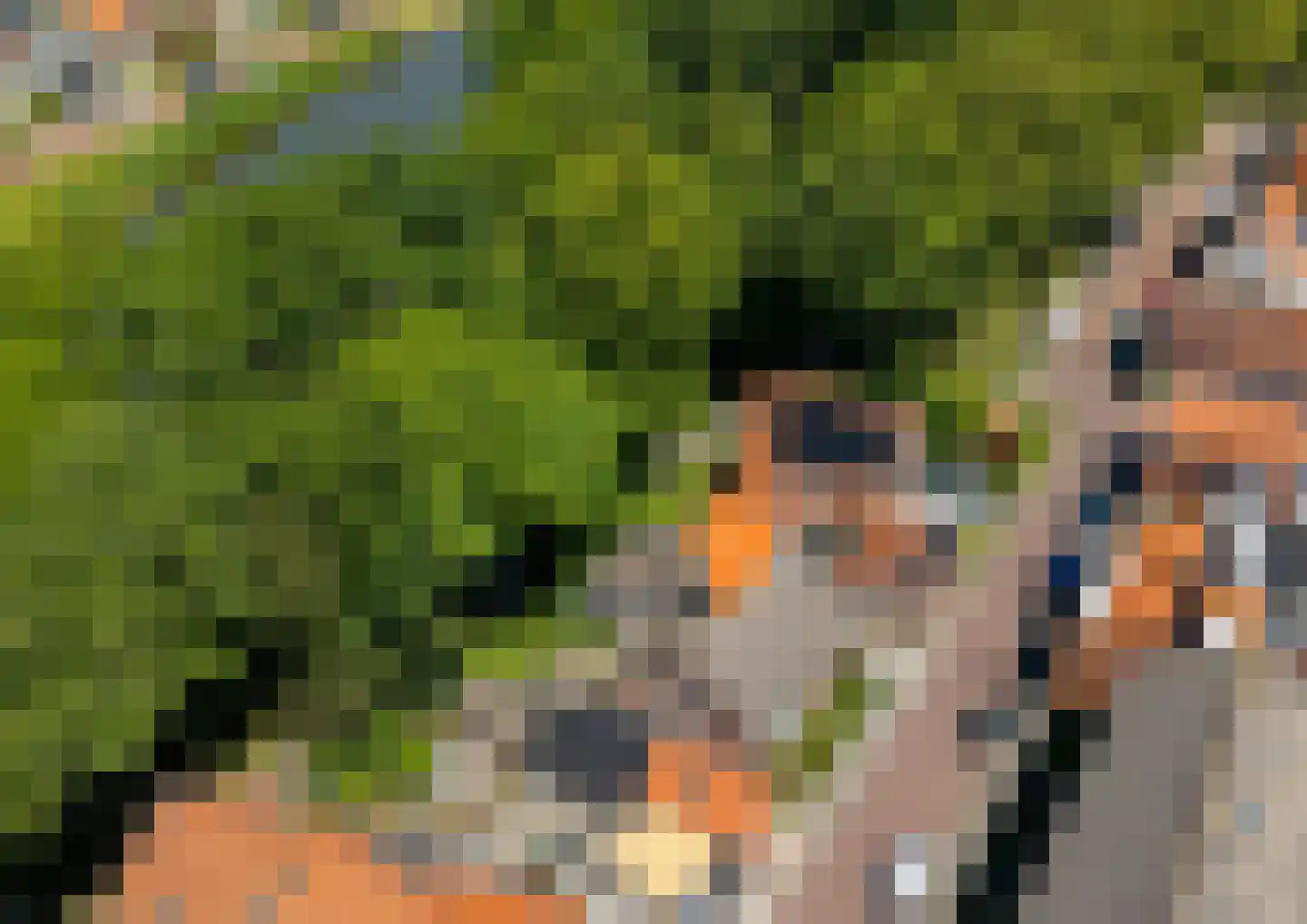 Schuttershof 4 Tholen thumbnail 4