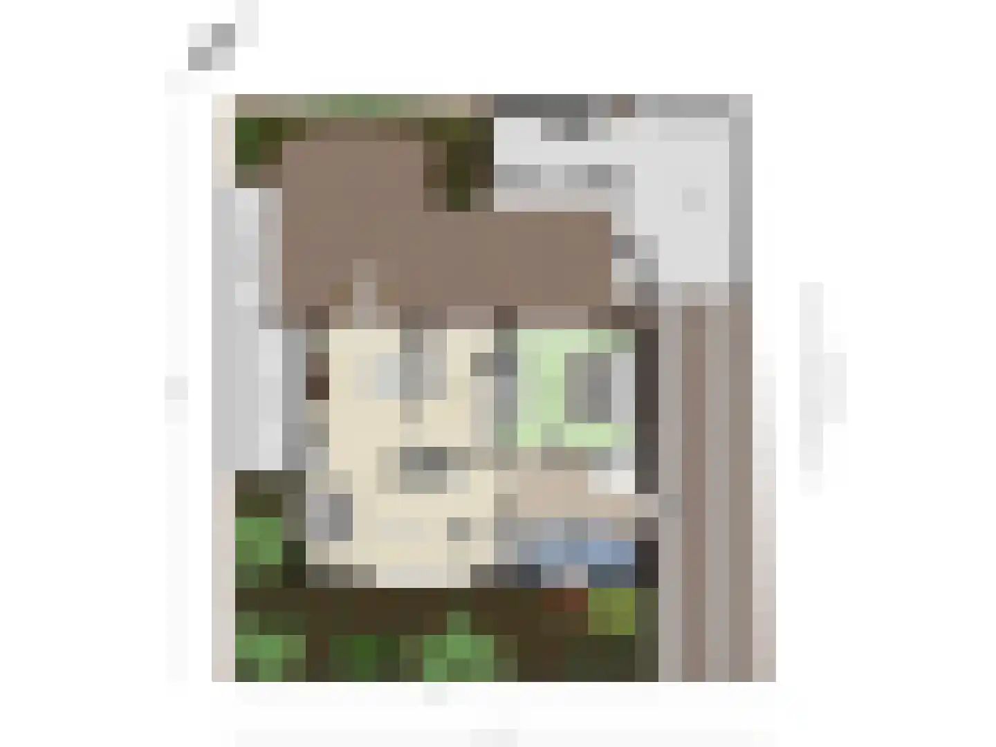 Schuttershof 4 Tholen thumbnail 42