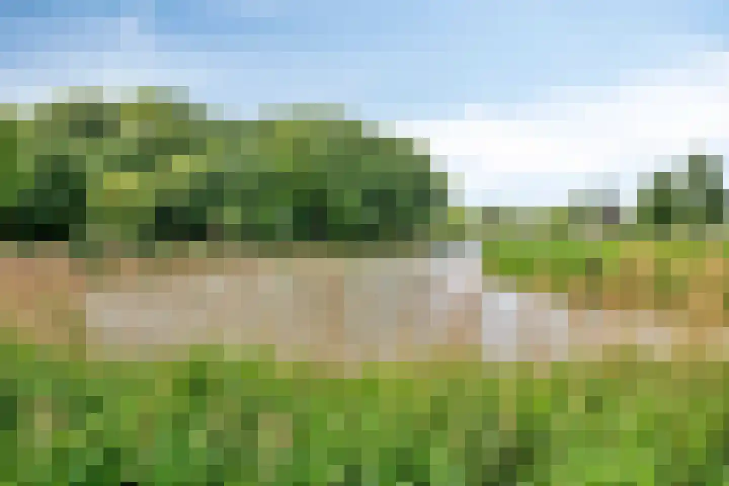 Schuttershof 4 Tholen thumbnail 48