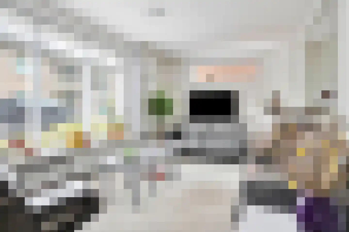 Schuttershof 4 Tholen thumbnail 9