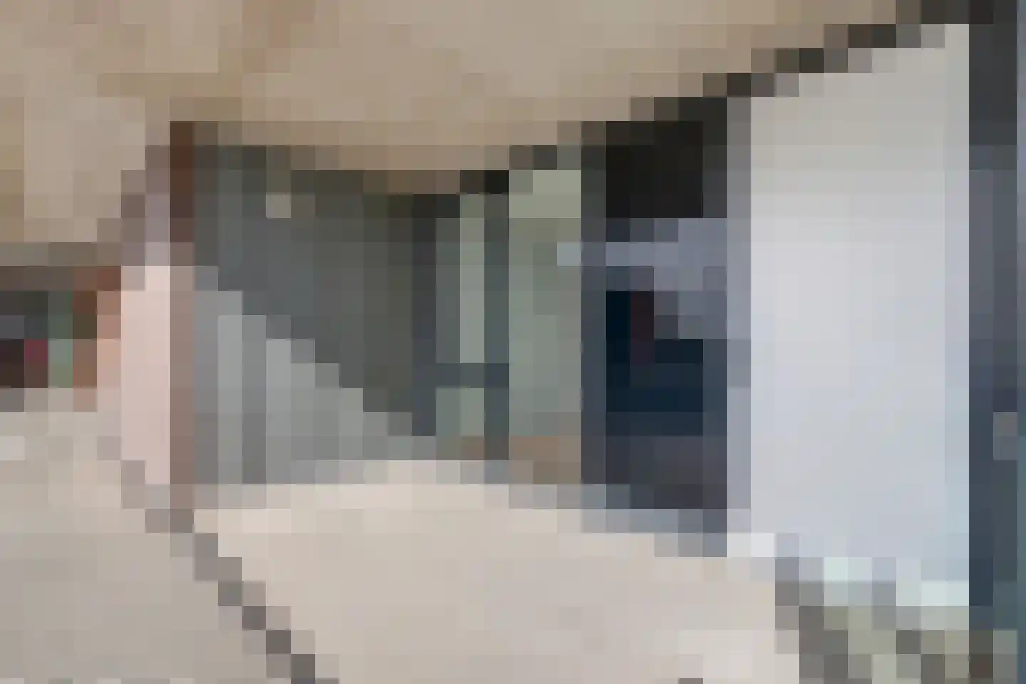 Schuttershof 47 Terneuzen thumbnail 22