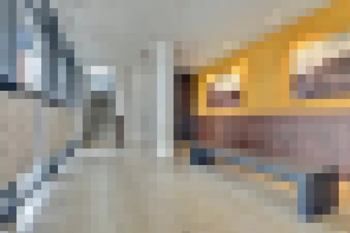 Schuttershof 47 Terneuzen thumbnail 8