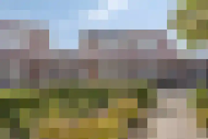 Schuttershof 50 Etten-Leur thumbnail 35