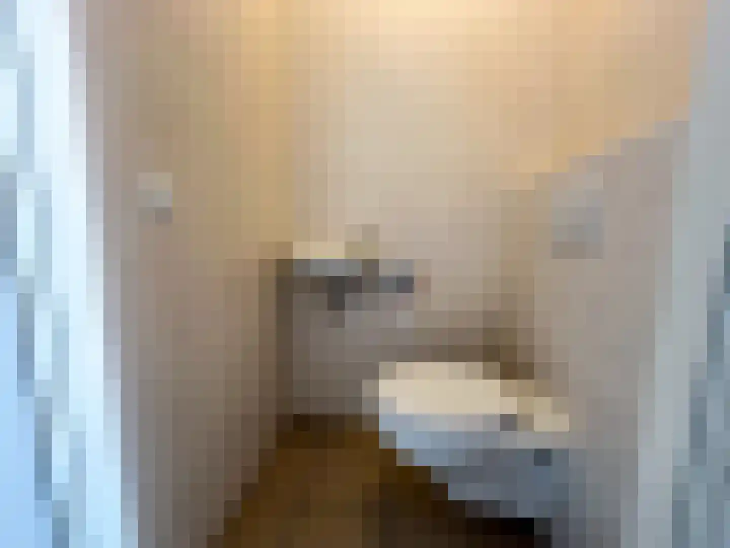 Schuttershof 6 Achtmaal thumbnail 20