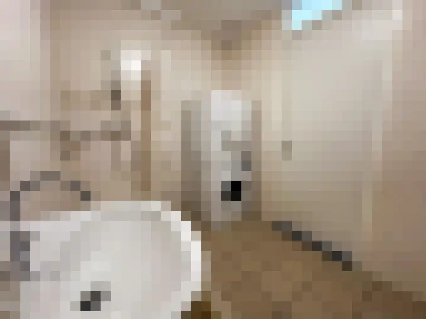 Schuttershof 6 Achtmaal thumbnail 22