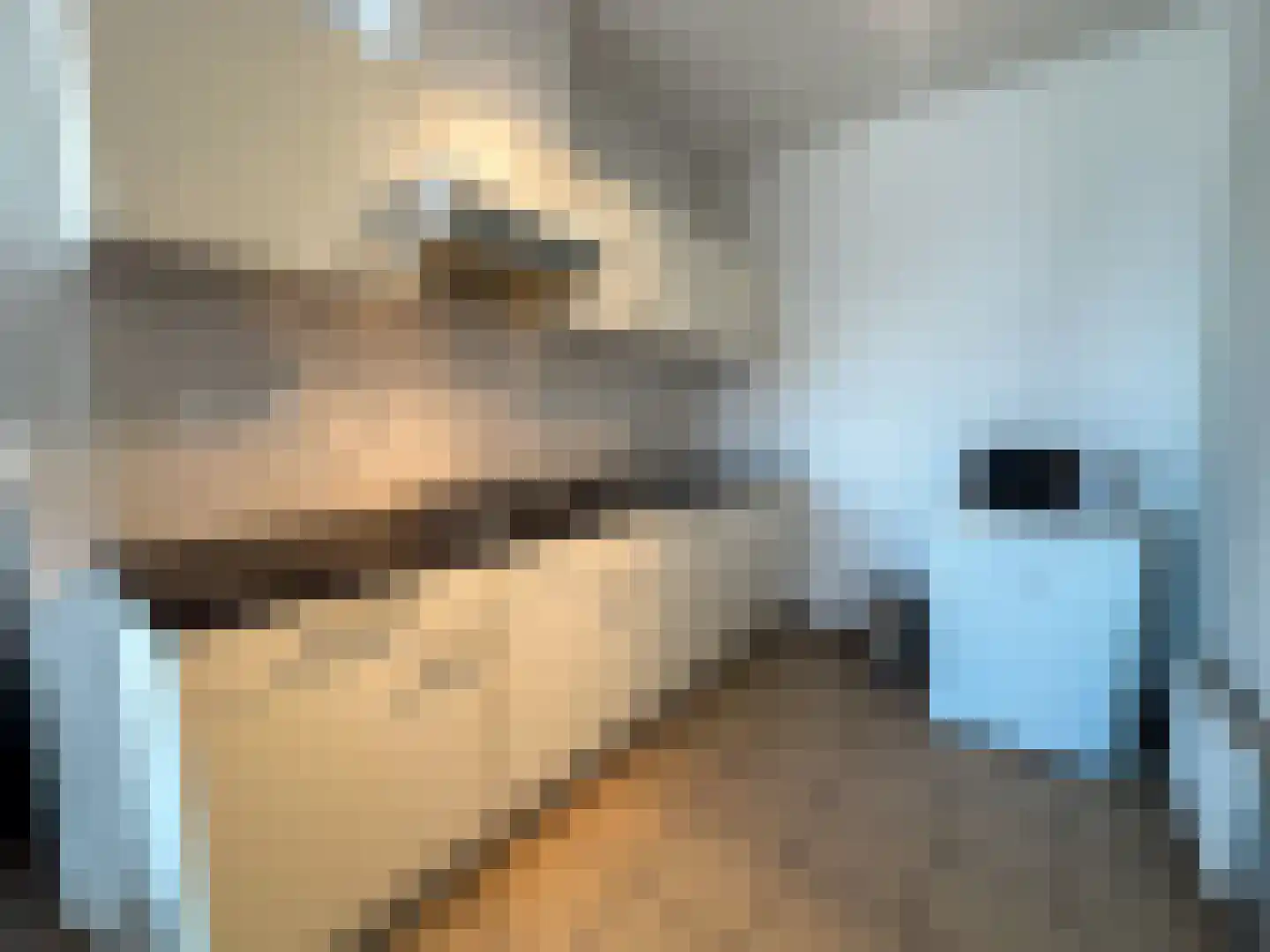 Schuttershof 6 Achtmaal thumbnail 4