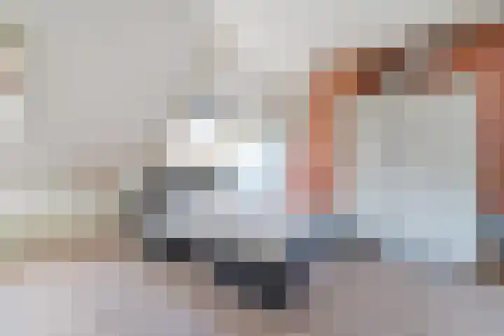Schuttershof 6 Arnemuiden thumbnail 10
