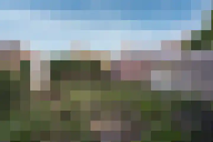 Schuttershof 6 Arnemuiden thumbnail 12