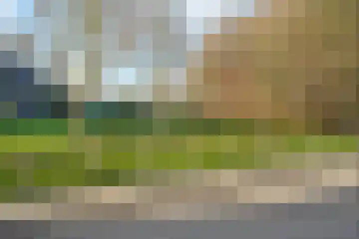 Schuttershof 6 Arnemuiden thumbnail 17