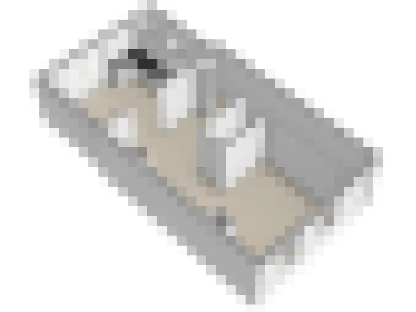 Schuttershof 6 Arnemuiden thumbnail 20