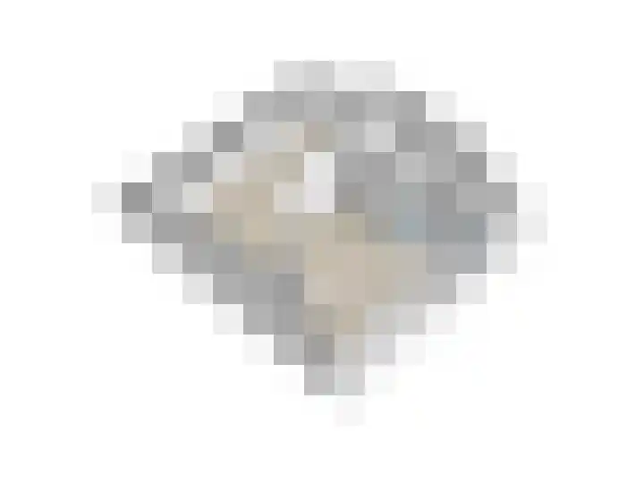 Schuttershof 6 Arnemuiden thumbnail 21